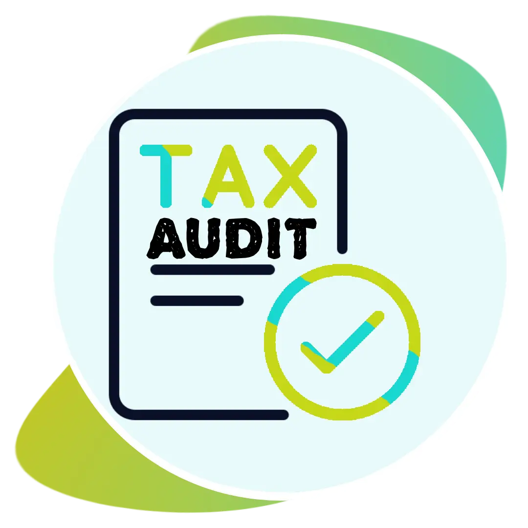 TAX AUDIT Service